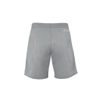 Short tecnifibre team Gris / Silver
